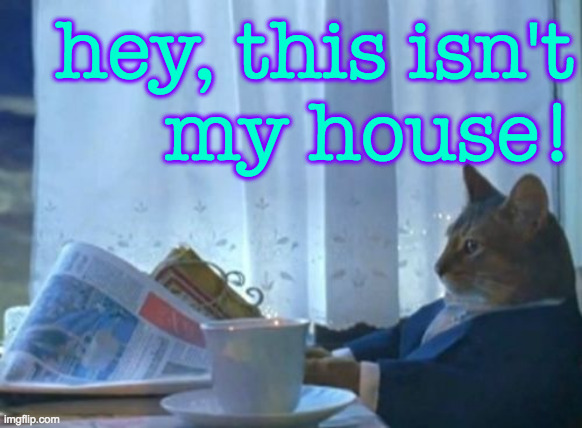 No wonder that lady didn't complain  ( : | hey, this isn't
my house! | image tagged in memes,i should buy a boat cat,i should pay more attention | made w/ Imgflip meme maker