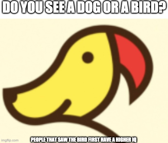 Dog or bird? | DO YOU SEE A DOG OR A BIRD? PEOPLE THAT SAW THE BIRD FIRST HAVE A HIGHER IQ | image tagged in iq test,fun | made w/ Imgflip meme maker