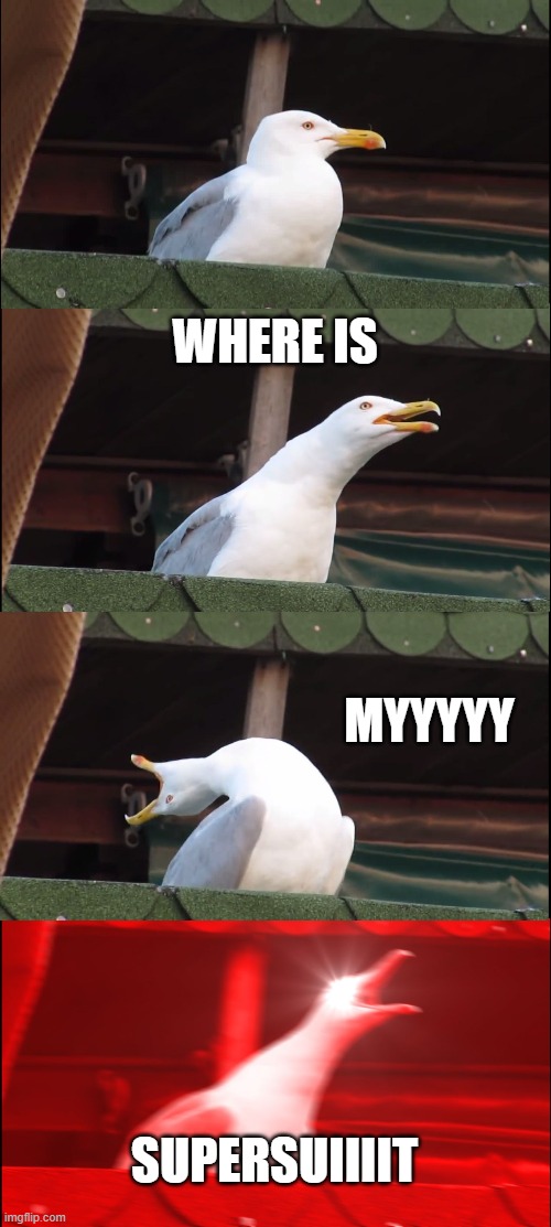 Inhaling Seagull | WHERE IS; MYYYYY; SUPERSUIIIIT | image tagged in memes,inhaling seagull | made w/ Imgflip meme maker