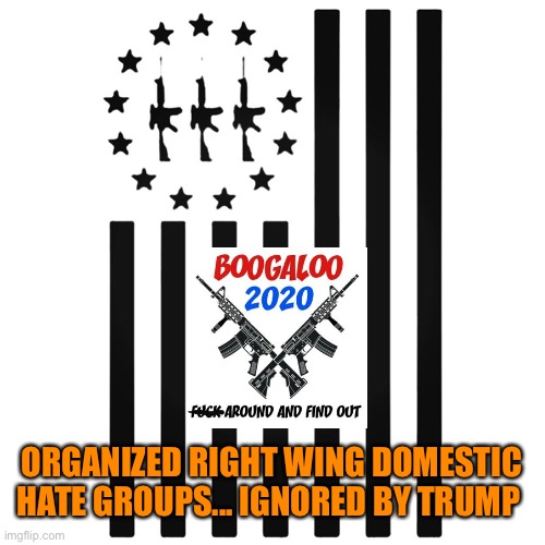 ORGANIZED RIGHT WING DOMESTIC HATE GROUPS... IGNORED BY TRUMP | made w/ Imgflip meme maker