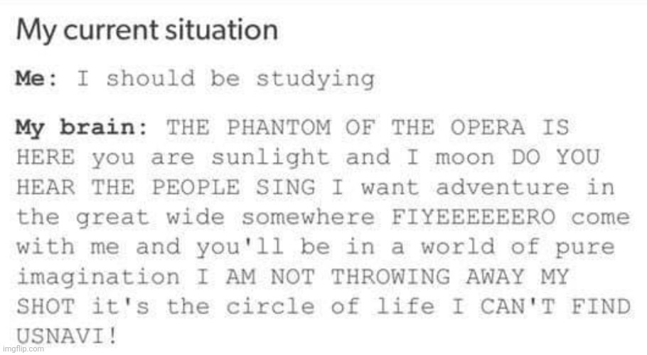 Relatable. | image tagged in musicals,theater | made w/ Imgflip meme maker