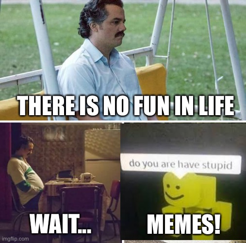Sad Pablo Escobar Meme | THERE IS NO FUN IN LIFE WAIT... MEMES! | image tagged in memes,sad pablo escobar | made w/ Imgflip meme maker