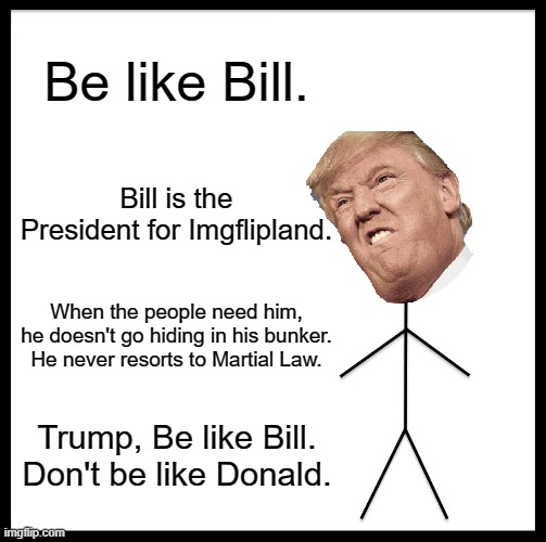 be like bill 2 | Be like Bill. Bill is the President for Imgflipland. When the people need him, he doesn't go hiding in his bunker.
He never resorts to Martial Law. Trump, Be like Bill. Don't be like Donald. | image tagged in memes,be like bill | made w/ Imgflip meme maker