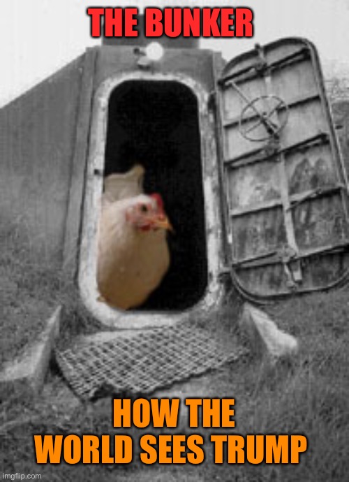 THE BUNKER HOW THE WORLD SEES TRUMP | made w/ Imgflip meme maker