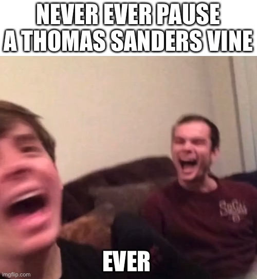 I made a grave mistake | NEVER EVER PAUSE A THOMAS SANDERS VINE; EVER | image tagged in thomas sanders,vine,vines | made w/ Imgflip meme maker