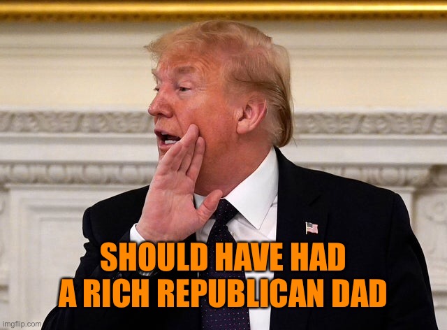 SHOULD HAVE HAD A RICH REPUBLICAN DAD | made w/ Imgflip meme maker