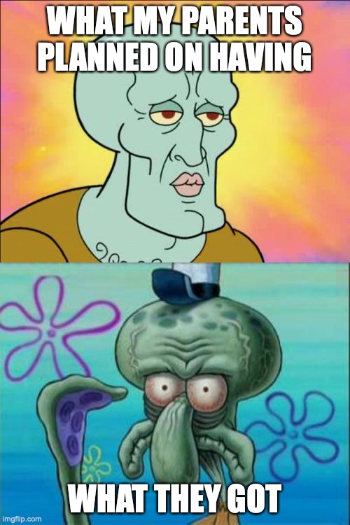 looks like god was in no mood of giving me good looks | WHAT MY PARENTS PLANNED ON HAVING; WHAT THEY GOT | image tagged in memes,squidward | made w/ Imgflip meme maker