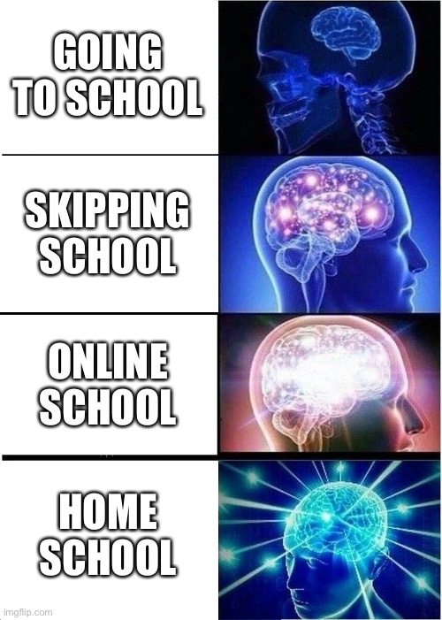 Big brain moves | GOING TO SCHOOL; SKIPPING SCHOOL; ONLINE SCHOOL; HOME SCHOOL | image tagged in memes,expanding brain,funny,yeah this is big brain time | made w/ Imgflip meme maker