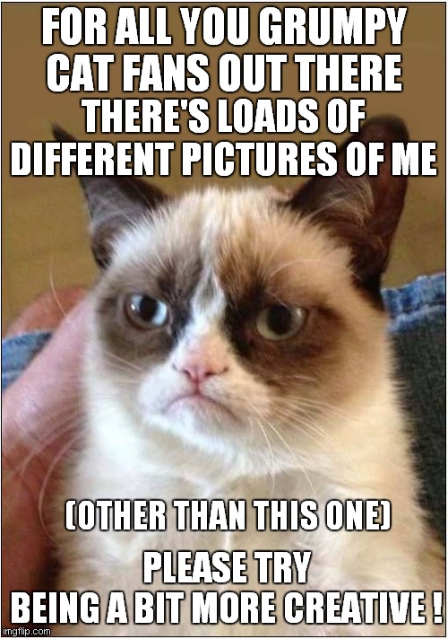 Grumpy Says Be More Creative ! | FOR ALL YOU GRUMPY CAT FANS OUT THERE; THERE'S LOADS OF DIFFERENT PICTURES OF ME; PLEASE TRY BEING A BIT MORE CREATIVE ! (OTHER THAN THIS ONE) | image tagged in fun,grumpy cat | made w/ Imgflip meme maker