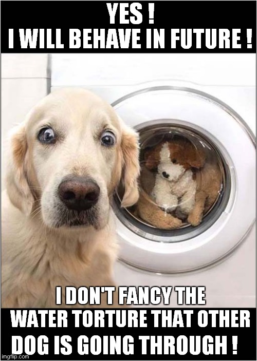 Excessive Negative Reinforcement | YES ! I WILL BEHAVE IN FUTURE ! I DON'T FANCY THE WATER TORTURE THAT OTHER; DOG IS GOING THROUGH ! | image tagged in fun,dogs,washing machine,torture | made w/ Imgflip meme maker