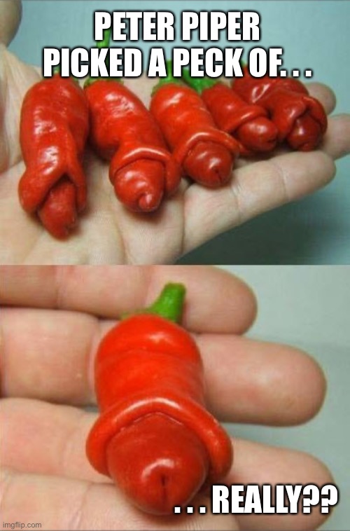 Peck of Peppers? | PETER PIPER PICKED A PECK OF. . . . . . REALLY?? | image tagged in funny memes,sex jokes | made w/ Imgflip meme maker