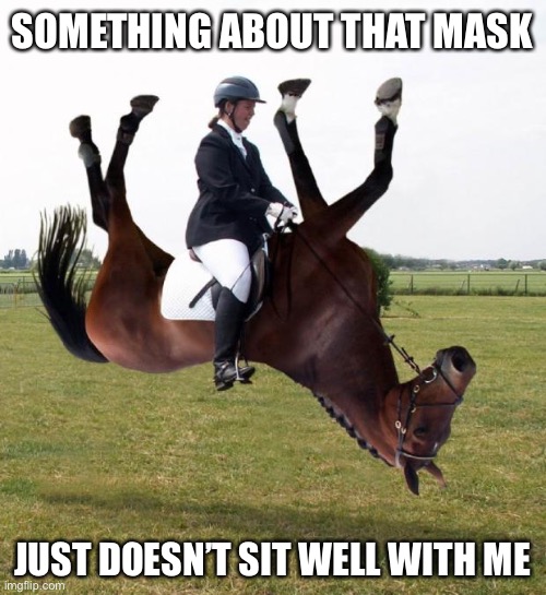 Horse upside down | SOMETHING ABOUT THAT MASK JUST DOESN’T SIT WELL WITH ME | image tagged in horse upside down | made w/ Imgflip meme maker