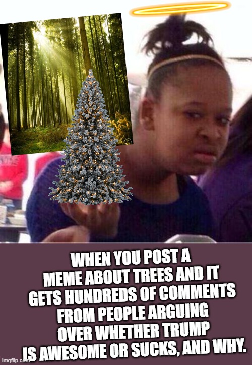 Wut? | WHEN YOU POST A MEME ABOUT TREES AND IT GETS HUNDREDS OF COMMENTS FROM PEOPLE ARGUING OVER WHETHER TRUMP IS AWESOME OR SUCKS, AND WHY. | image tagged in wut | made w/ Imgflip meme maker