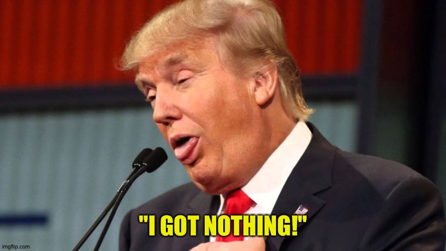 Stupid trump | "I GOT NOTHING!" | image tagged in stupid trump | made w/ Imgflip meme maker