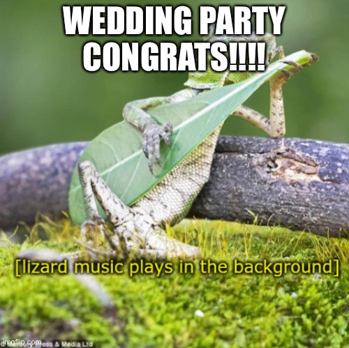 CONGRATS | WEDDING PARTY CONGRATS!!!! | image tagged in lizard | made w/ Imgflip meme maker