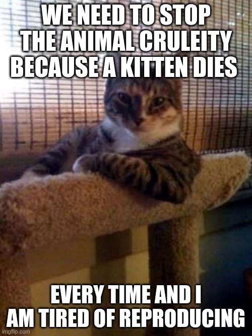 true | WE NEED TO STOP THE ANIMAL CRULEITY BECAUSE A KITTEN DIES; EVERY TIME AND I AM TIRED OF REPRODUCING | image tagged in memes,the most interesting cat in the world | made w/ Imgflip meme maker