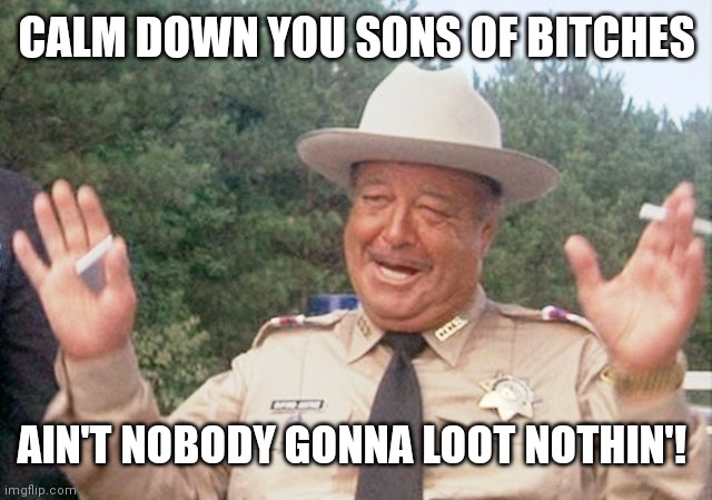 Buford T. Justice | CALM DOWN YOU SONS OF BITCHES; AIN'T NOBODY GONNA LOOT NOTHIN'! | image tagged in cop | made w/ Imgflip meme maker