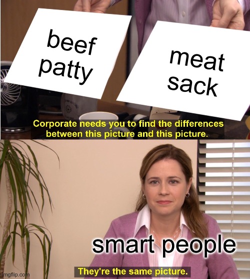 what? | beef patty; meat sack; smart people | image tagged in memes,they're the same picture | made w/ Imgflip meme maker