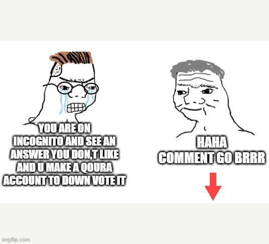 haha brrrrrrr | HAHA COMMENT GO BRRR; YOU ARE ON INCOGNITO AND SEE AN ANSWER YOU DON,T LIKE AND U MAKE A QOURA ACCOUNT TO DOWN VOTE IT | image tagged in haha brrrrrrr | made w/ Imgflip meme maker