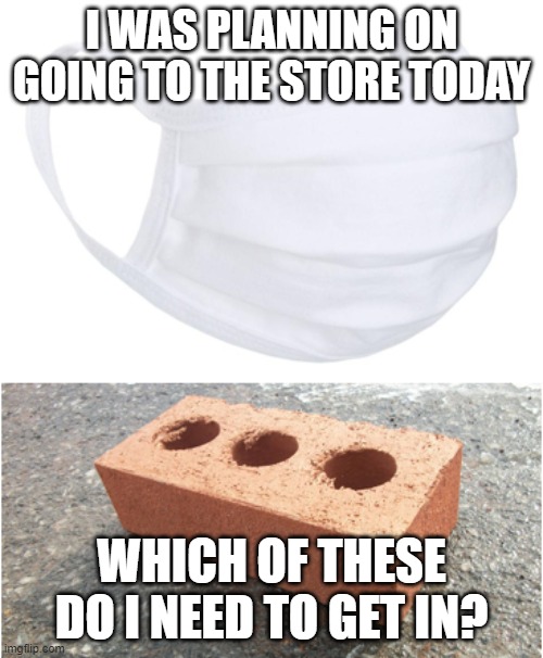 To loot or not to loot | I WAS PLANNING ON GOING TO THE STORE TODAY; WHICH OF THESE DO I NEED TO GET IN? | image tagged in memes,politics,bricks,facemasks,riots,looting | made w/ Imgflip meme maker