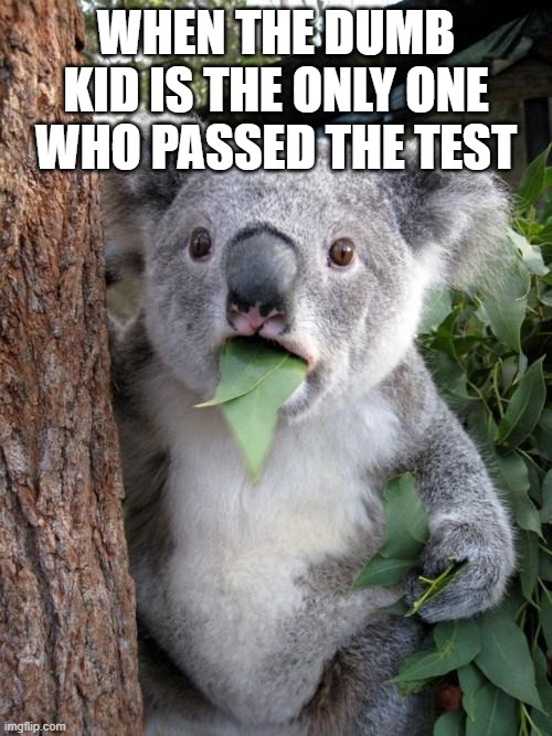 Surprised Koala Meme | WHEN THE DUMB KID IS THE ONLY ONE WHO PASSED THE TEST | image tagged in memes,surprised koala | made w/ Imgflip meme maker