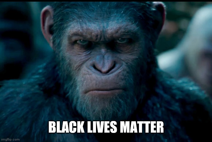 Black Lives Matter | BLACK LIVES MATTER | image tagged in black lives matter | made w/ Imgflip meme maker