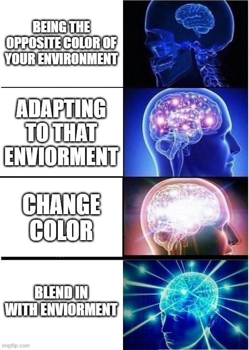 Expanding Brain Meme | BEING THE OPPOSITE COLOR OF YOUR ENVIRONMENT; ADAPTING TO THAT ENVIORMENT; CHANGE COLOR; BLEND IN WITH ENVIORMENT | image tagged in memes,expanding brain | made w/ Imgflip meme maker