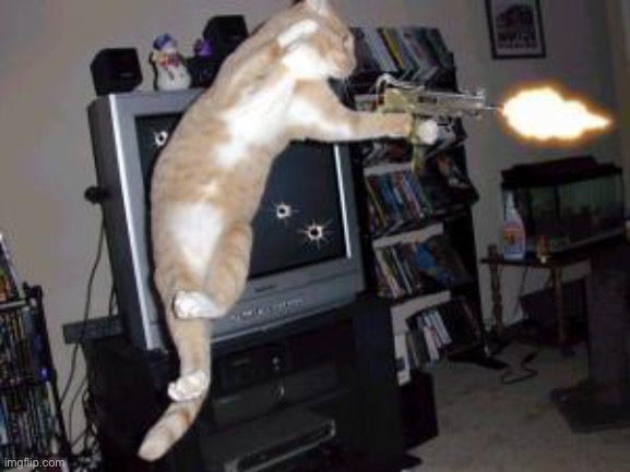 Machine Gun Cat | image tagged in machine gun cat | made w/ Imgflip meme maker