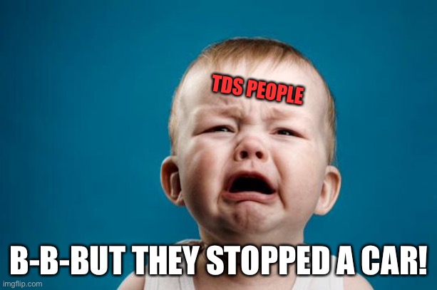 BABY CRYING | TDS PEOPLE B-B-BUT THEY STOPPED A CAR! | image tagged in baby crying | made w/ Imgflip meme maker