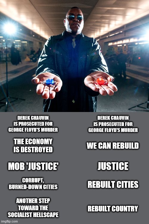 Remember in November | DEREK CHAUVIN IS PROSECUTED FOR GEORGE FLOYD'S MURDER; DEREK CHAUVIN IS PROSECUTED FOR GEORGE FLOYD'S MURDER; THE ECONOMY IS DESTROYED; WE CAN REBUILD; MOB 'JUSTICE'; JUSTICE; CORRUPT, BURNED-DOWN CITIES; REBUILT CITIES; ANOTHER STEP TOWARD THE SOCIALIST HELLSCAPE; REBUILT COUNTRY | image tagged in memes,red pill blue pill,justice,riots,george floyd | made w/ Imgflip meme maker