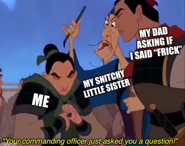 Your commanding officer just asked you a question | image tagged in your commanding officer just asked you a question,mulan,memes,funny,snitch,sisters | made w/ Imgflip meme maker