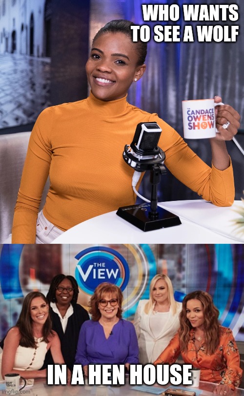 Candace and the View | WHO WANTS TO SEE A WOLF; IN A HEN HOUSE | image tagged in the view,politics,debate | made w/ Imgflip meme maker