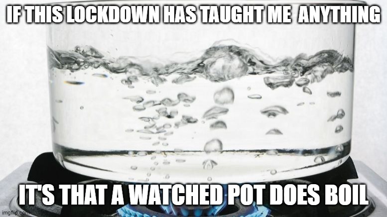 It boils | IF THIS LOCKDOWN HAS TAUGHT ME  ANYTHING; IT'S THAT A WATCHED POT DOES BOIL | image tagged in covid19,taught,watched por,boil | made w/ Imgflip meme maker