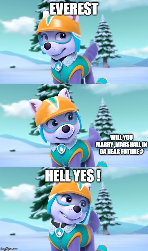 Everest X Marshall | EVEREST; WILL YOU MARRY ,MARSHALL IN DA NEAR FUTURE ? HELL YES ! | image tagged in paw patrol bad pun everest,paw patrol,lol,lol so funny | made w/ Imgflip meme maker