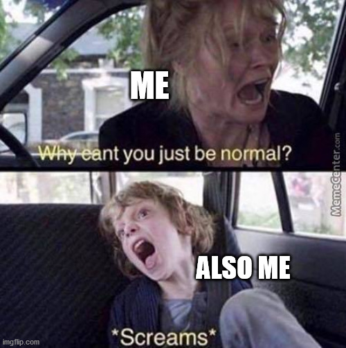 Hehehe | ME; ALSO ME | image tagged in why can't you just be normal,memes | made w/ Imgflip meme maker