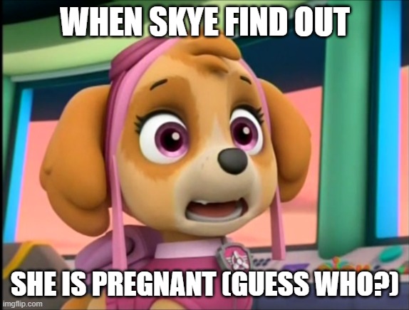 Skye's pregnancy reaction | WHEN SKYE FIND OUT; SHE IS PREGNANT (GUESS WHO?) | image tagged in shocked skye,paw patrol | made w/ Imgflip meme maker