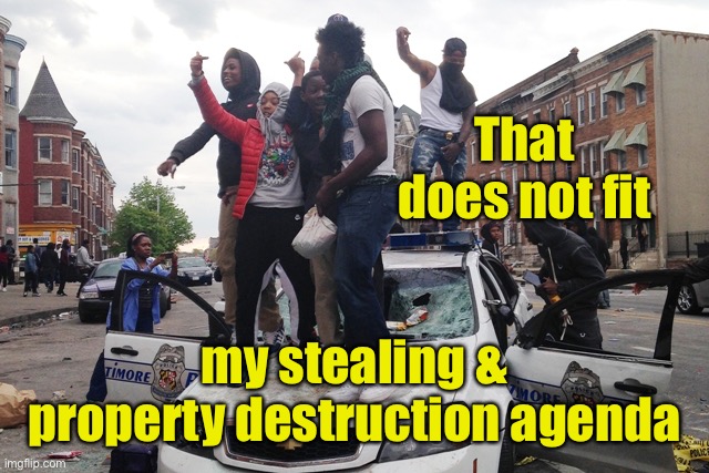 Riot | That does not fit my stealing & property destruction agenda | image tagged in riot | made w/ Imgflip meme maker