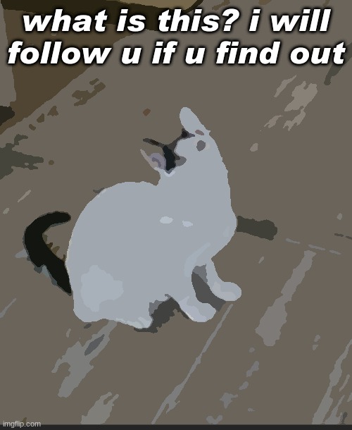 i said i would | what is this? i will follow u if u find out | image tagged in noko looking up | made w/ Imgflip meme maker