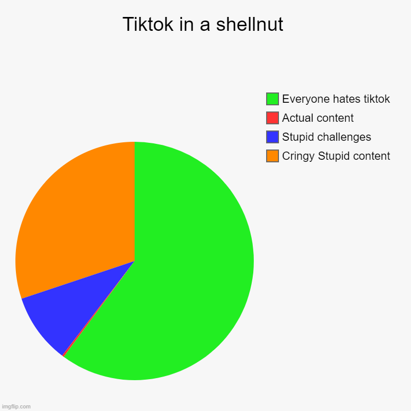 i'm with green | Tiktok in a shellnut | Cringy Stupid content, Stupid challenges , Actual content , Everyone hates tiktok | image tagged in charts,pie charts | made w/ Imgflip chart maker