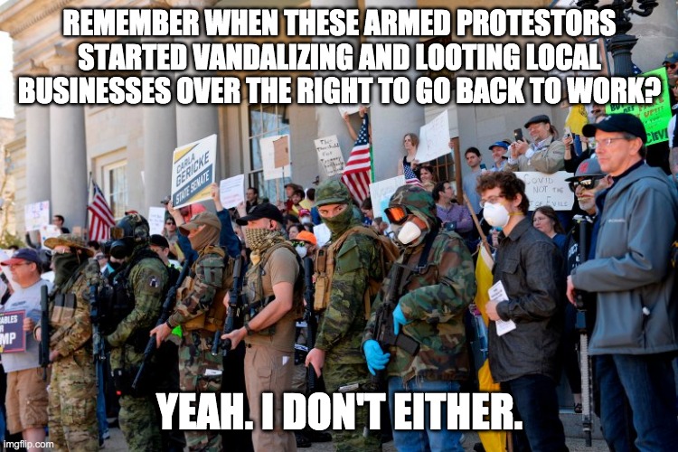 Armed protests | REMEMBER WHEN THESE ARMED PROTESTORS STARTED VANDALIZING AND LOOTING LOCAL BUSINESSES OVER THE RIGHT TO GO BACK TO WORK? YEAH. I DON'T EITHER. | image tagged in 2nd amendment,protesters | made w/ Imgflip meme maker