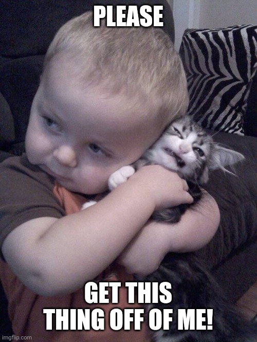 DON'T CHOKE HIM | PLEASE; GET THIS THING OFF OF ME! | image tagged in cats,funny cats | made w/ Imgflip meme maker