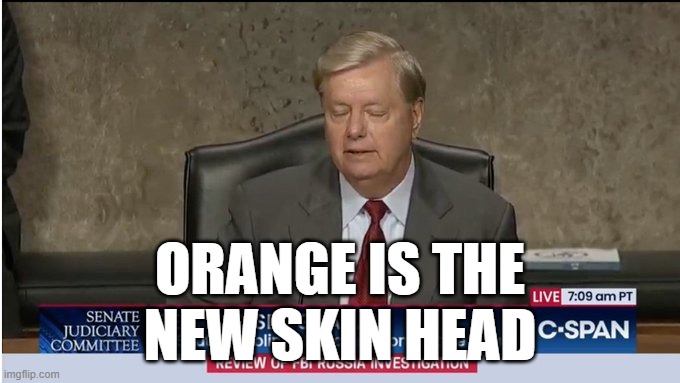 Lindsey's New Do | ORANGE IS THE
NEW SKIN HEAD | image tagged in lindsey graham,donald trump,orange,gop hypocrite | made w/ Imgflip meme maker