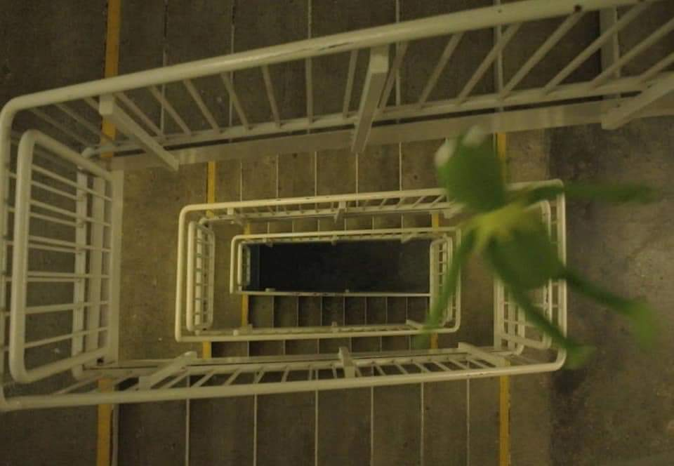 High Quality Kermit falling Blank Meme Template