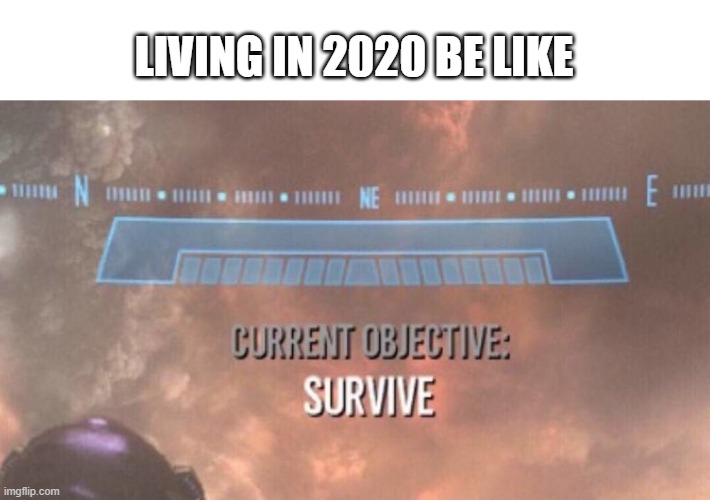 2020 | LIVING IN 2020 BE LIKE | image tagged in current objective survive,2020 | made w/ Imgflip meme maker