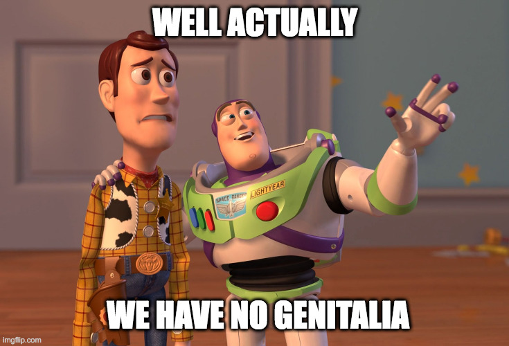 NO GENITALIA | WELL ACTUALLY; WE HAVE NO GENITALIA | image tagged in memes,x x everywhere | made w/ Imgflip meme maker