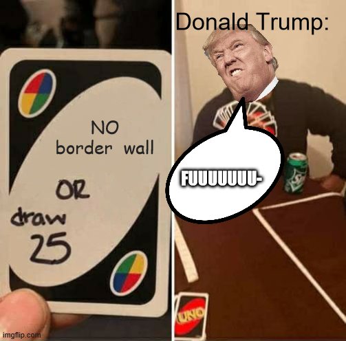 UNO Draw 25 Cards | Donald Trump:; NO border  wall; FUUUUUUU- | image tagged in memes,uno draw 25 cards | made w/ Imgflip meme maker