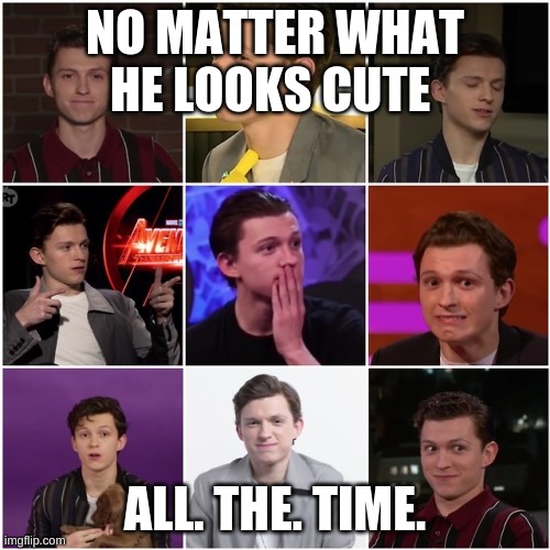 NO MATTER WHAT HE LOOKS CUTE; ALL. THE. TIME. | image tagged in tom holland,memes | made w/ Imgflip meme maker