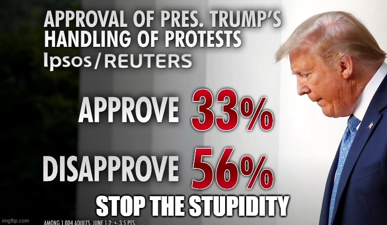 TRUMP STFU! | STOP THE STUPIDITY | image tagged in stfu,liar,impeached | made w/ Imgflip meme maker