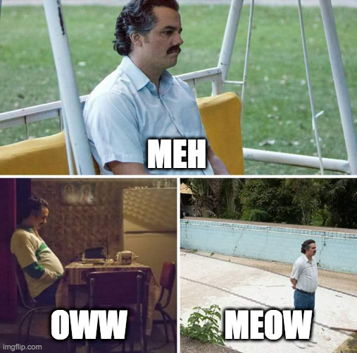 MEH OWW | MEH; OWW; MEOW | image tagged in memes,sad pablo escobar | made w/ Imgflip meme maker