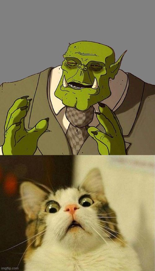 image tagged in memes,scared cat,ork gentleman | made w/ Imgflip meme maker